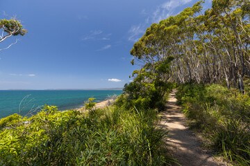 Fototapeta na wymiar Walking track between Blenheim and Greenfields beach, part of the white sands walk, NSW, Australia
