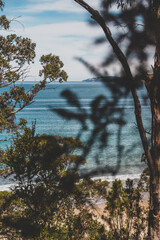 beautiful scenary of the Pacific Ocean and thick native vegetation shot from a vantage point during...