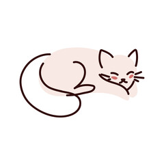 sleeping cat pet