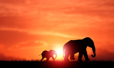 Fototapeta na wymiar Elephant Mother with Her baby Silhouette Walking at sunset 