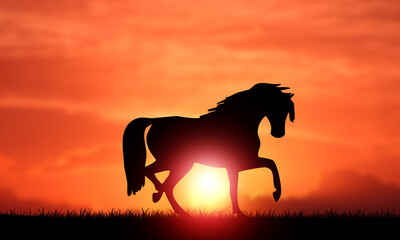 Horse Silhouette Sunset on the Field with nobody. 