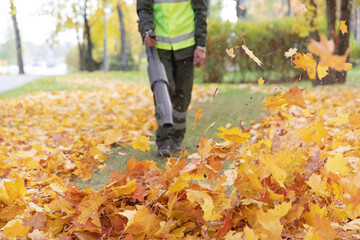 Autumn Leaves Scattering as the Landscaper Man Worker Clearing Lawn Gras with Cordless Leaf Blower...