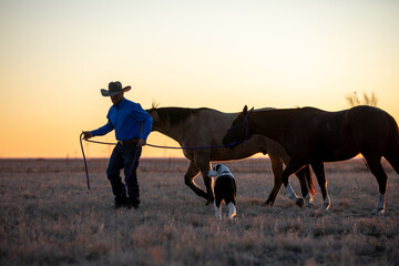 West Texas Cowboy