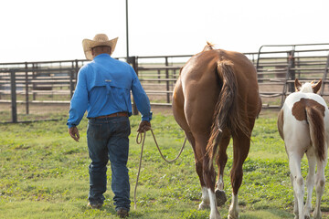 West Texas Cowboy