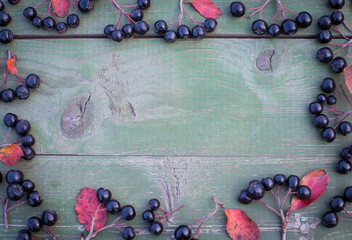 Aronia berry, commonly known as black-fruited mountain ash, with leaves on a wooden background. Freshly picked berries of homemade aronia on the table.