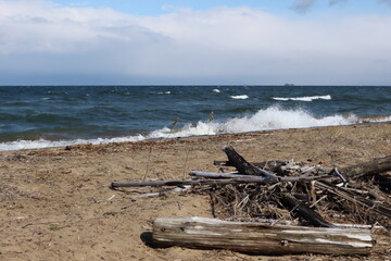 冬の琵琶湖東岸からの風景