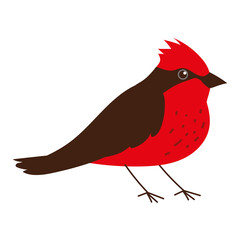 scarlet tanager bird