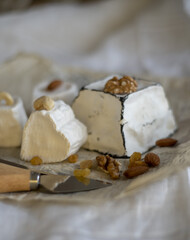 Various types of cheese with white mold on packaging paper.