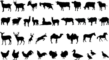 Domestic Animal Silhouette collection, Animal Silhouette