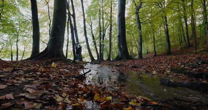 Tall Guy With Cap Holding His Jacket Jumps Accross a Small Stream Towards a Lake in Gyllebo Forest in Autumn, South Sweden Skåne - Handheld Wide Shot