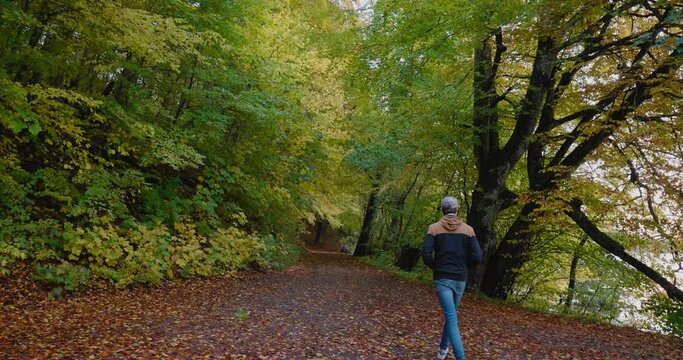 Young Tall Guy With Cap Walks With Hands in Pockets on a Path into The Gyllebo Forest in Autumn, South Sweden &Ouml;sterlen - Static Wide Shot
