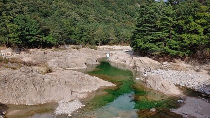 Its a small river thats green like a forest.