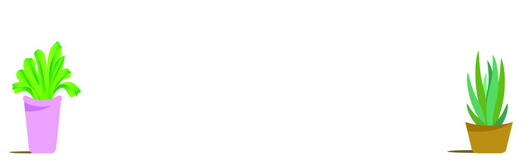 Air filtering plants in pot isolated on white.