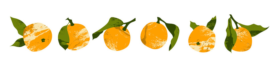 Juicy mandarin, tangerine, orange, clementine. Fresh citrus fruit, healthy organic food. Ripe fruits with leaves. Vector flat cartoon botanical illustration - 488491242