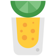 tequila shot flat icon