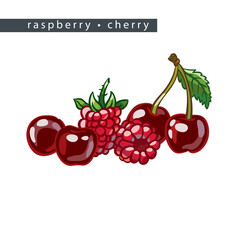 sketch_raspberry_cherry_six_berries