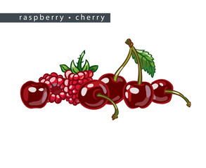 sketch_raspberry_cherry_seven_berries