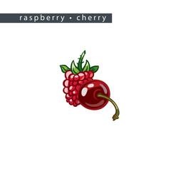 sketch_raspberry_cherry_two_berries