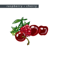 sketch_raspberry_cherry_four_berries