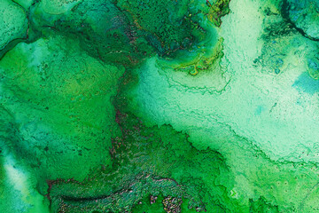 Green alcohol Ink fluid background. Art painting