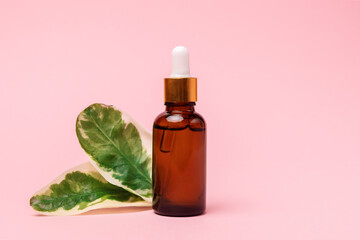 Close up of brown glass cosmetic bottle with dropper on a pink background near green leaves. Copy space. The concept of an advertising template for beauty products