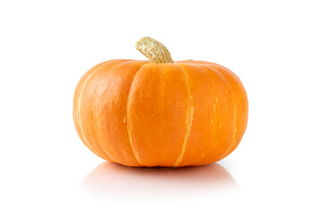 A whole fresh ripe orange pumpkin with reflection on a white background. Autumn harvest season.