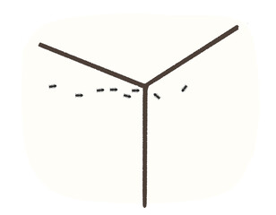 家の中に発生した、蟻の行列