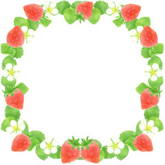 イチゴ水彩画素材、飾り枠、装飾素材／Strawberry watercolor material, decorative frame, decorative material
