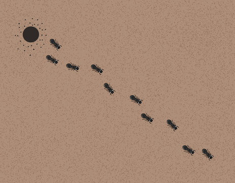 クロオオアリ の画像 135 件の Stock 写真 ベクターおよびビデオ Adobe Stock