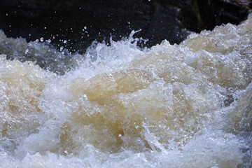 Fototapeta premium rapid and turbulent streams of water in a rocky mountain river