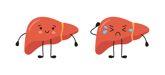 Obraz na płótnie Canvas Healthy happy and sad sick liver characters. Kawaii liver characters. Vector isolated illustration in flat and cartoon style on white background.