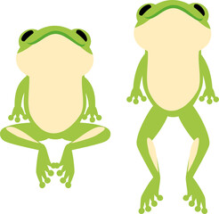 泳ぐカエルの腹側