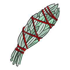White sage smudge stick used for energy clearing and healing. Hand drawn vector illustration, isolated on white background.