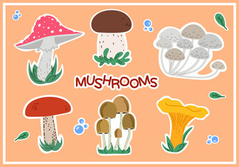 set of different stickers mushrooms isolated on white background. Elements for design