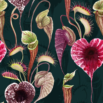 Carnivorous plants seamless pattern Dark tropical floral print Watercolor exotic plants botanical illustration Pelican flower Venus Flytrap