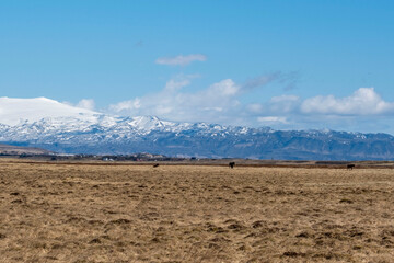 Horse paddock in Iceland