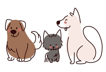 pets dogs and cat
