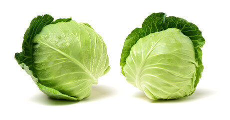 Fototapeta premium cabbage on a white background
