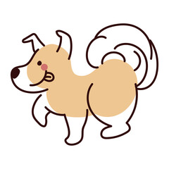 happy dog cute pet