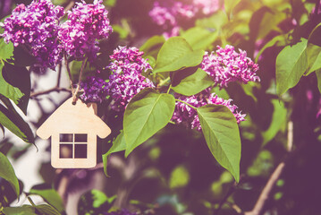 The symbol of the house among the branches of the pink lilac