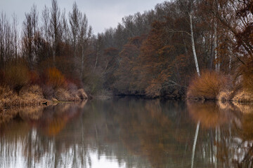 Landscape with riverside trees in winter and Río Órbigo, León, Spain.