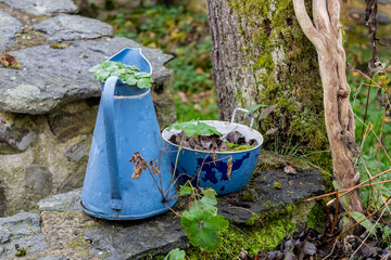 Broc à eau ancien bleu au bord d'un chemin prêt d'un vieux lavoir et recouvert de plantes