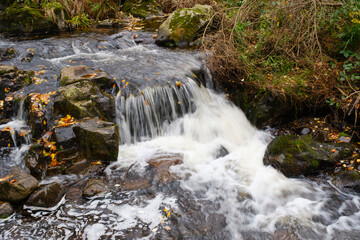 Fluss Radau im Radautal, Nationalpark Harz, Harz, Niedersachsen, Deutschland, Europa