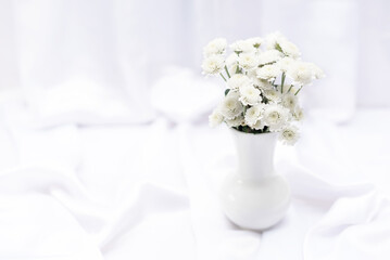White flowers in white vase on white background with copy space and selective focus. Greeting or invitation card