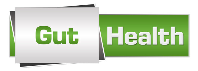 Gut Health Green Grey Horizontal 
