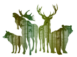 A group of forest animals with a pine forest inside. Bear, elk, deer and wolf. Vector illustration, isolated object - 488513296