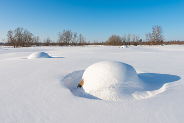Hay on a snowy field