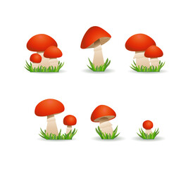 Edible mushroom boletus. Big set of Porcini mushrooms or borovik.