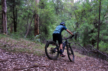 Fototapeta na wymiar Mountain biking person riding on bike in the forest