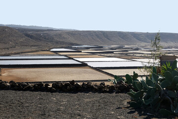 Salt industry in Lanzarote